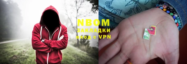 гашик Гусь-Хрустальный