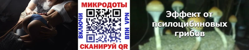 Галлюциногенные грибы GOLDEN TEACHER дарнет шоп Рыльск